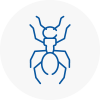 Ant Removals In South Norwood