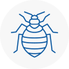 Bed Bug Extermination In South Norwood