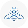 Bee Nest Removal South Norwood