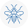 South Norwood Hornet Nest Removals