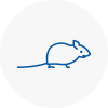 Mice Exterminators In South Norwood