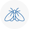 Moth Control Specialists In South Norwood