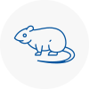 Rat Control South Norwood