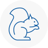 South Norwood Rodent Removals
